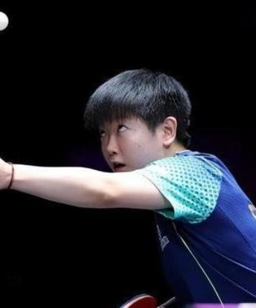 2024年澳门历史记录｜专业解析说明