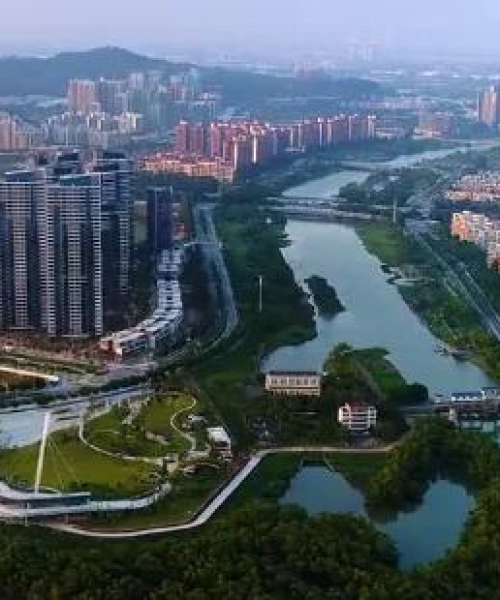澳门一码一码1000%中奖：狗、羊、马、虎，落实解答