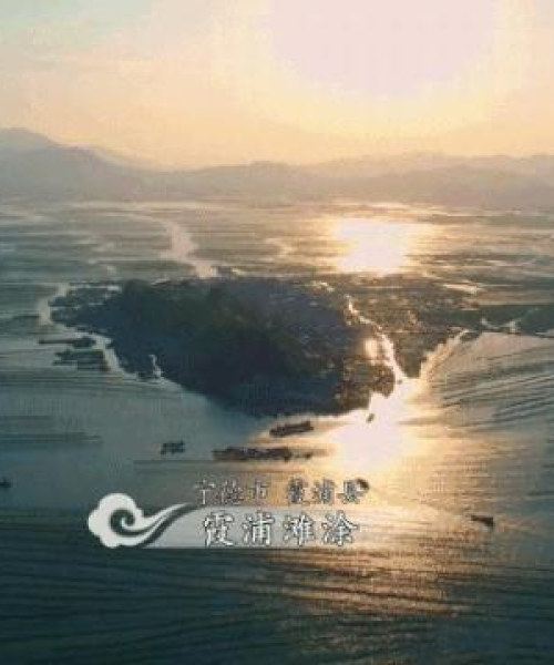 湄洲岛无人驾驶新闻头条