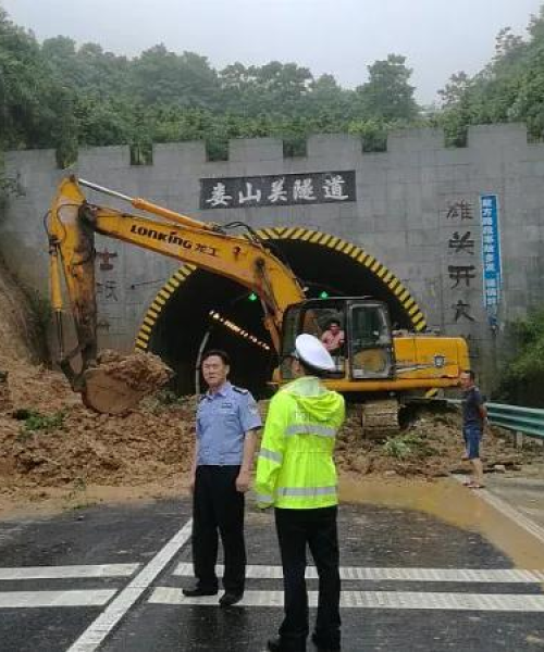 高坪区最新消息今日