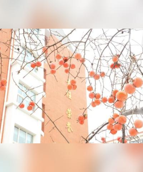 文成幼儿园装修公司排名
