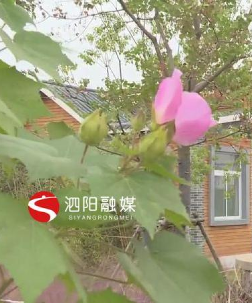 泗阳城厢仓库最新招聘信息