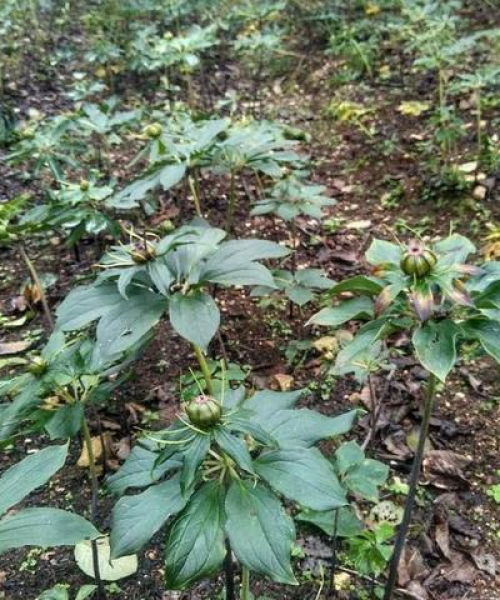 环境监测仪器 第9页