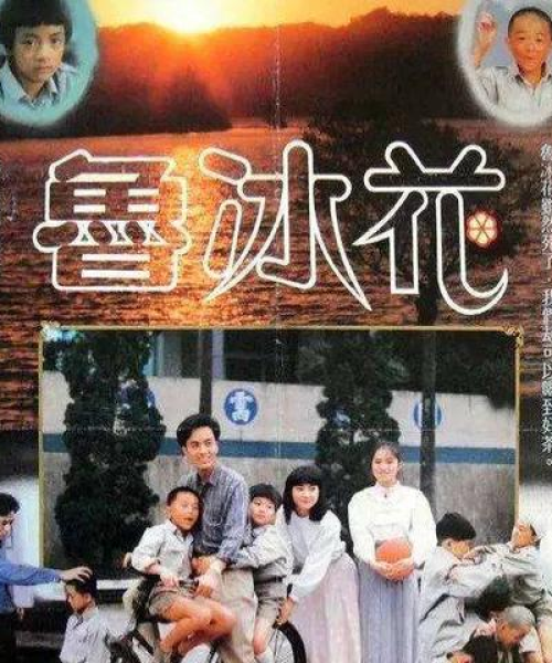陈扬小说今日最新更新详解