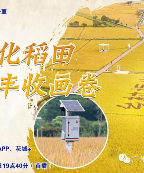 从化新闻头条，城管部门积极应对城市挑战，推动城市管理数字化升级