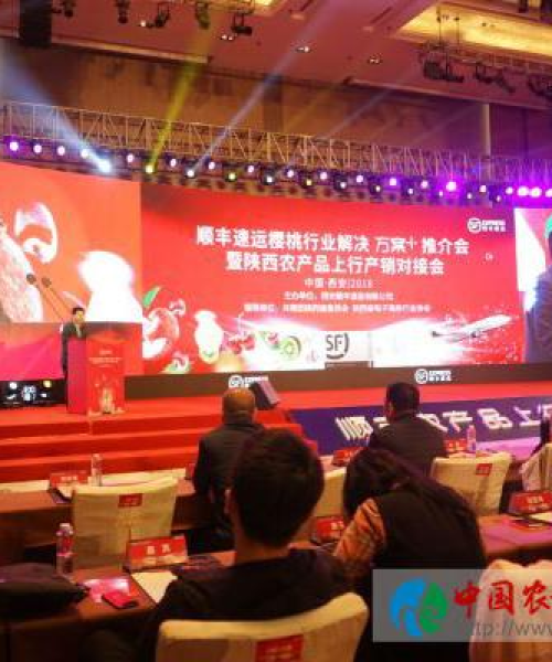 最新快递公司排名表公布，中农科测（成都）科技有限公司揭示行业格局