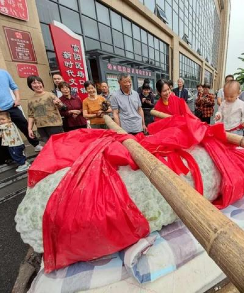 名人励志语录合集——激发无限潜能的动力源泉