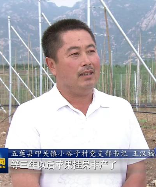 大旺最新医院，引领医疗科技，塑造健康未来