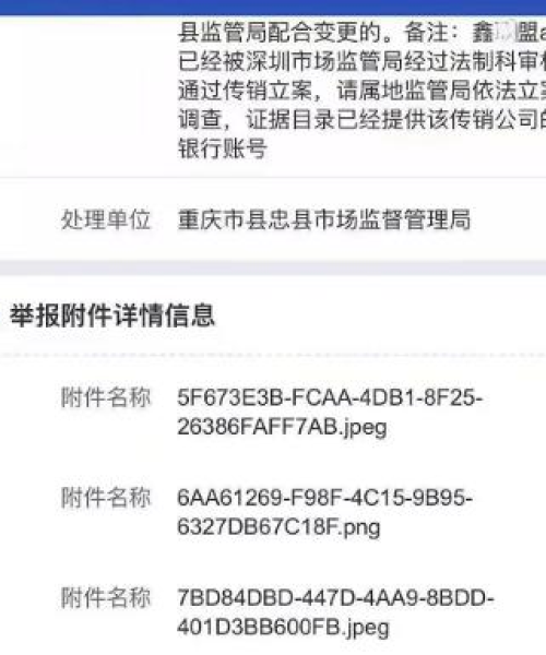 定制化解决方案 第6页