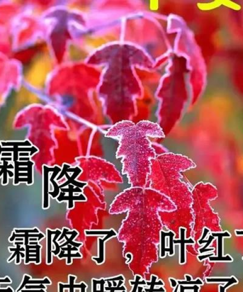 寒露早安励志语录