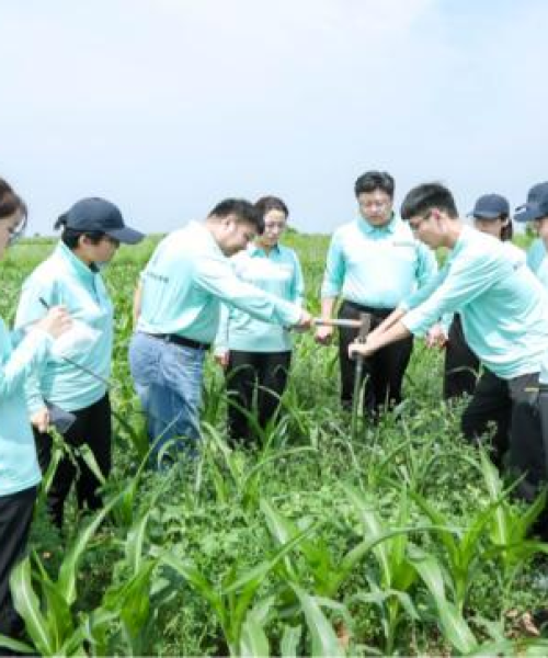 重磅发布中农科测（成都）科技有限公司环境风险排名揭晓