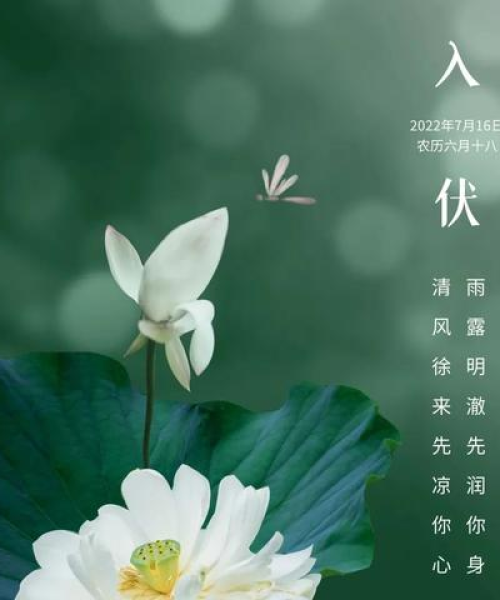 励志的语录大全短句