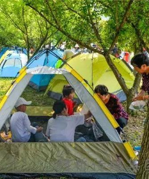 露营传媒公司排名揭晓，权威数据揭示行业领导者