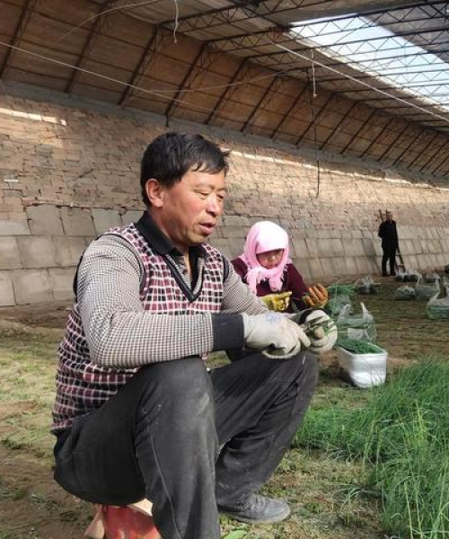 第三代轿车排名前十名，这些车型成为市场新宠！