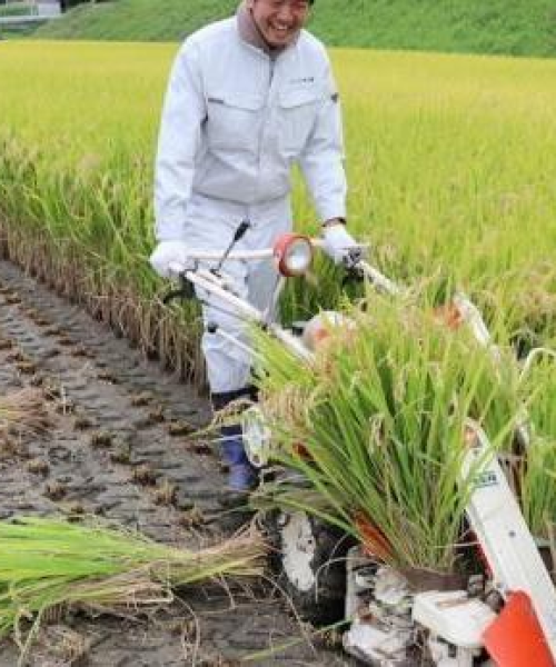 黑龙江货架定制公司排名及行业分析