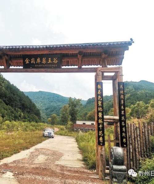 后麻地沟新闻头条——科技引领未来，助力乡村振兴