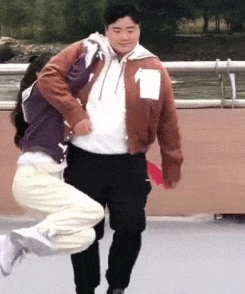 白鹿今日动态视频最新消息