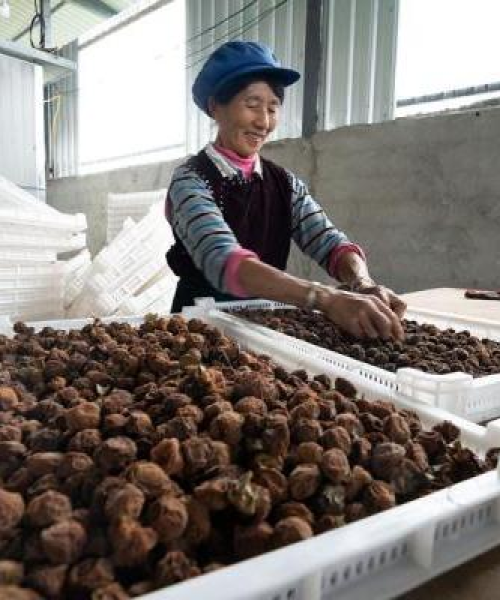 洱源县最新招聘2025信息概览
