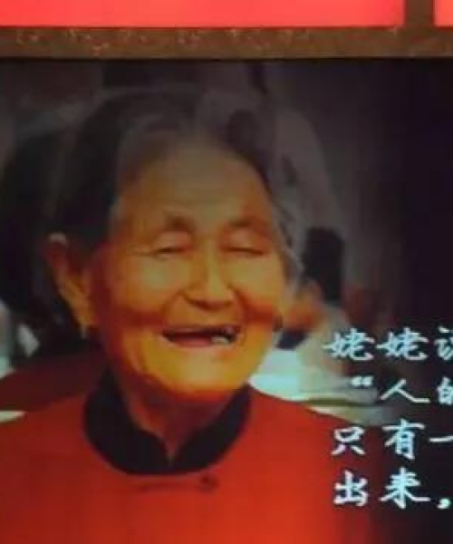 倪萍姥姥语录励志，人生路上的智慧与力量