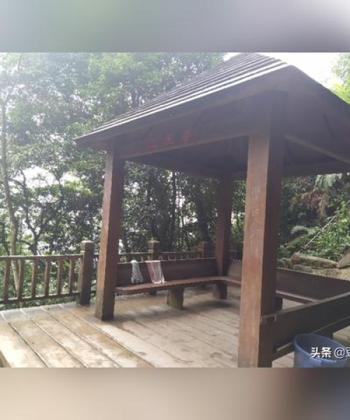 今日头条南靖金山新闻深度报道