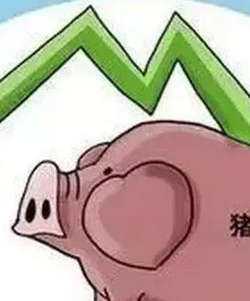 今日猪肉价格最新报告