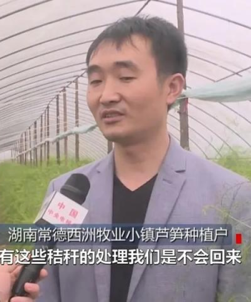 常德西湖新闻头条——农业科技创新引领现代农业发展