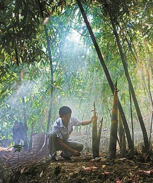 重庆今日辉煌最新消息