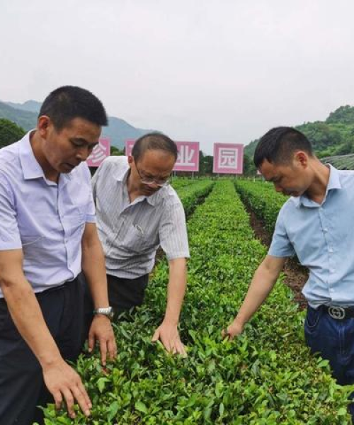 中农科测（成都）科技有限公司，头条新闻收益计算详解
