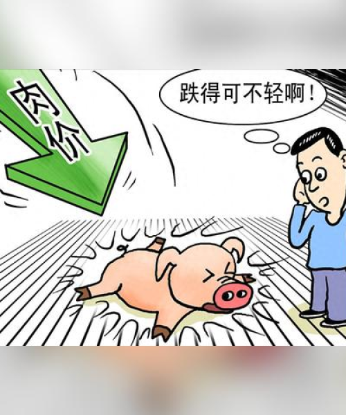 最新消息2024年今日猪价最新表及分析