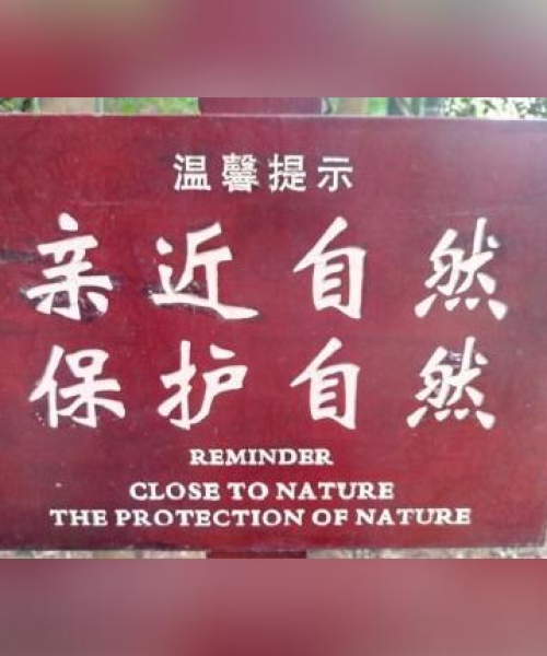 自贡翻译公司排名及详细介绍