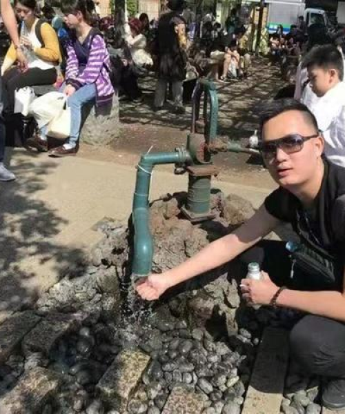 平安广东公司排名及业绩概览