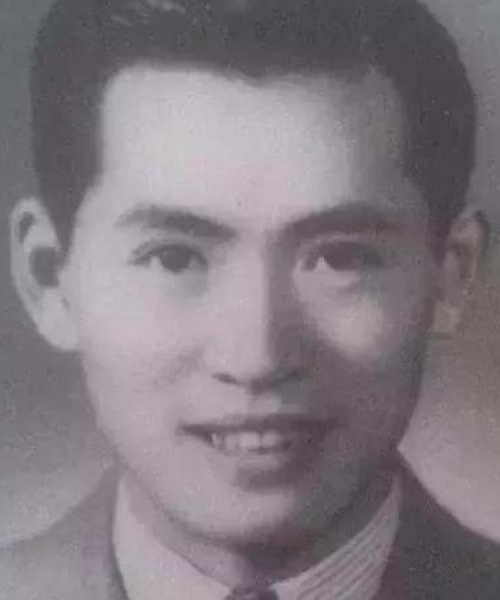 苏州女婿今日头条最新动态，揭秘成功背后的故事