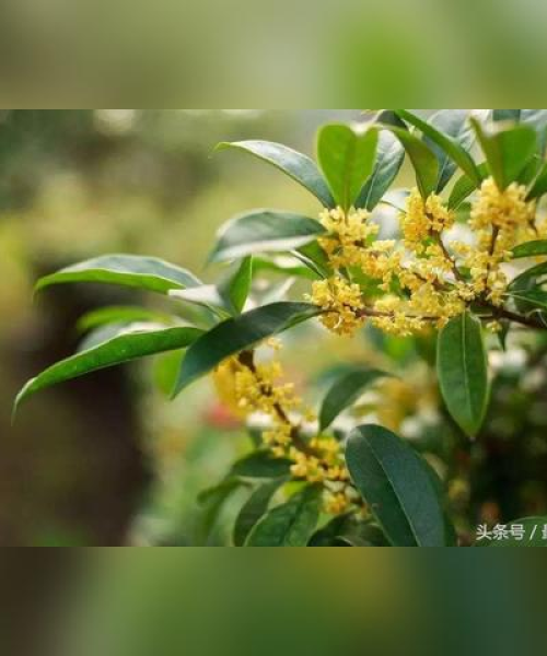 中农科测（成都）科技有限公司员工考核打卡规定最新文件