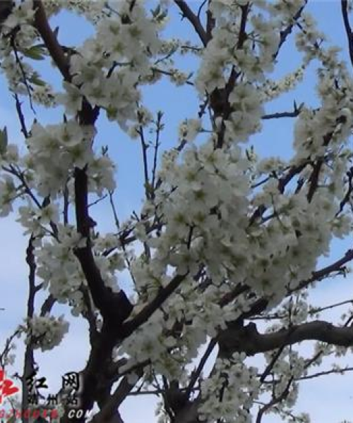 靖州太阳岛公路最新消息