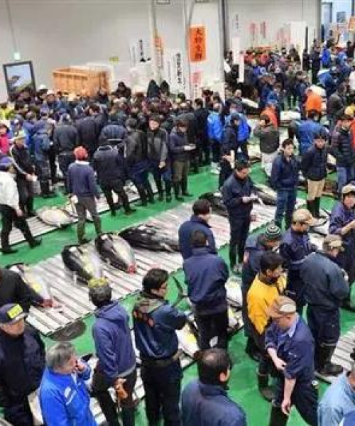 宁波江东搬家公司排名