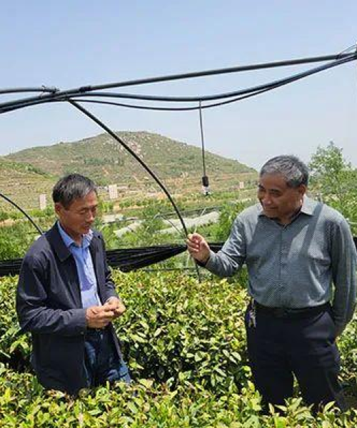 中农科测的农业技术服务平台，引领现代农业科技革新