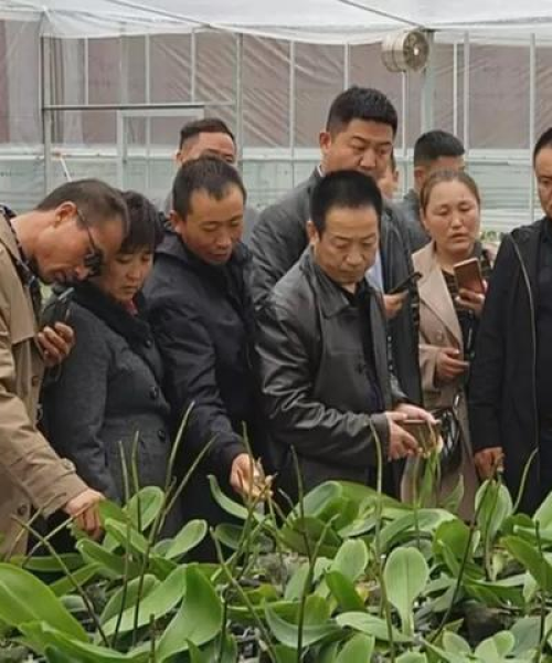 中农科测在环保农业领域的市场机会