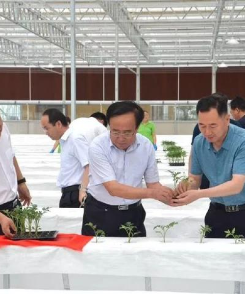 中农科测与合作伙伴共同推动行业标准化，引领农业科技创新发展