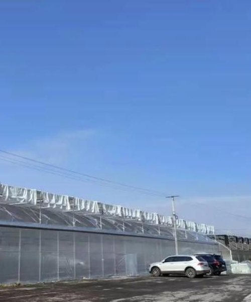 成都科技有限公司荣膺农业科技创新奖，引领农业走向新高度