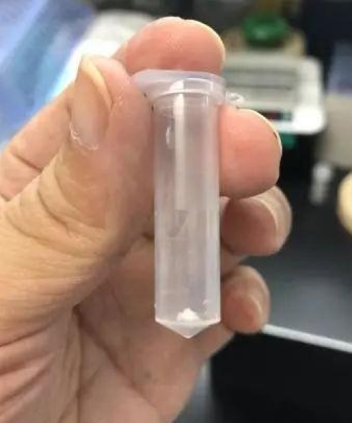 如何利用大数据优化农业生产效率