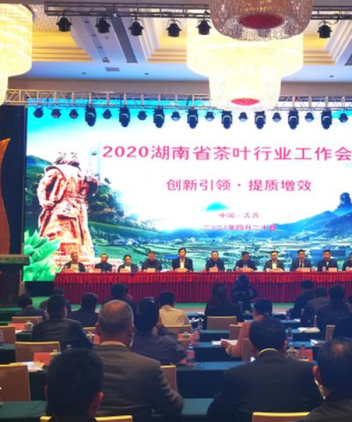 农业产值提升30%的成功因素分析