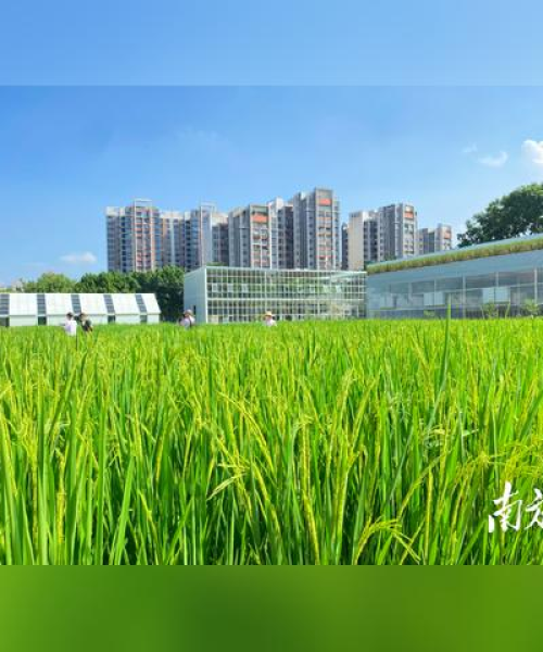 中农科测农业科技应用助力农业可持续发展