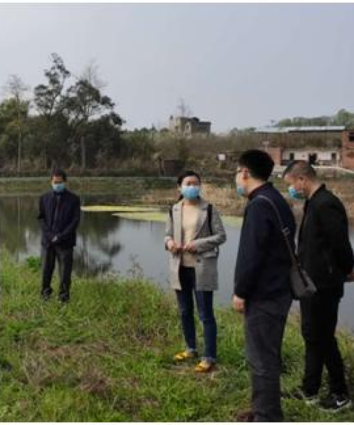 成都科技有限公司荣获农业科技突出贡献奖——以数据见证辉煌成就