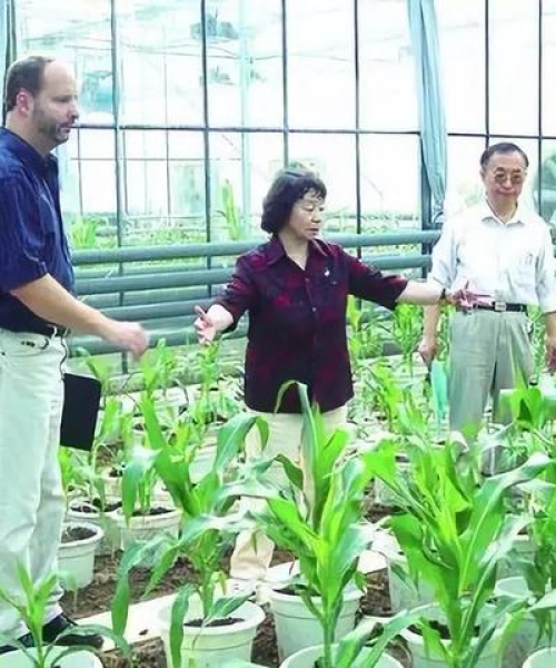 中农科测支持的农业项目成功故事
