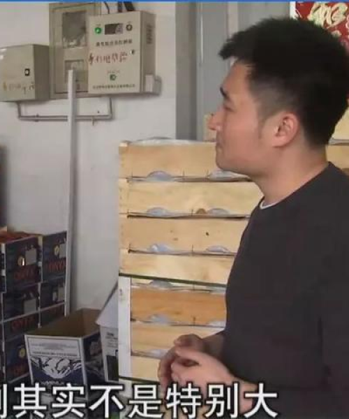 农产品市场进入技术分析