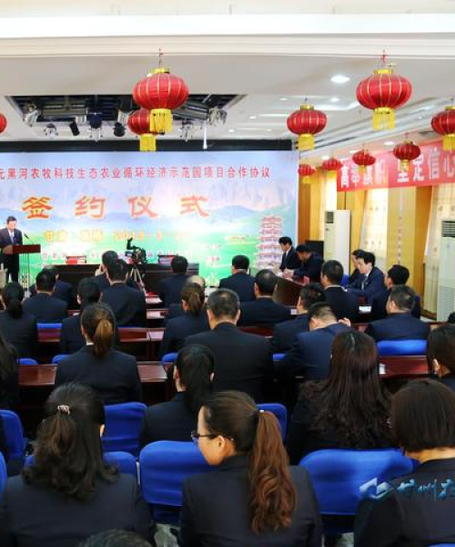 农业生产过程中的循环经济模式分析
