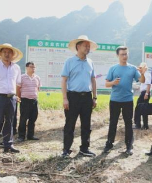 解析环境监测在农业金融中的应用