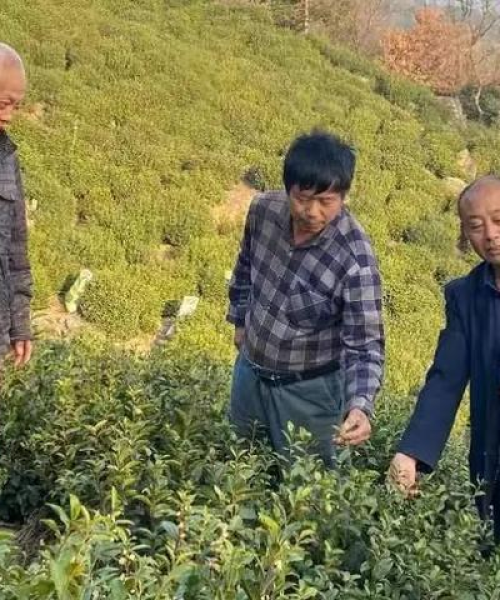 农业创新驱动的生态经济模式研究